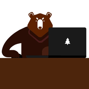Статистика Дзен Настройка рекламы и Таргет, агентство по трафику TargetPro_Siberia