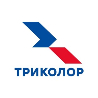 Статистика Дзен Триколор