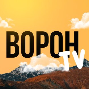 Статистика Дзен Ворон TV