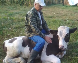 Статистика Дзен Николай Р.
