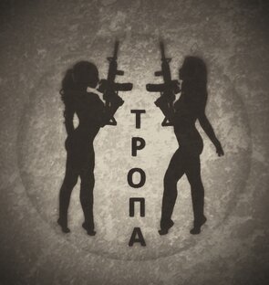 Статистика Дзен ТРОПА