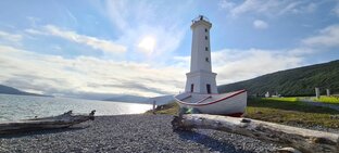 Статистика Дзен Алёша смотрит мир
