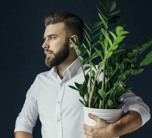 Дзен Цветочный Бро статистика