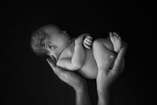 Дзен Фотографирую любовь статистика