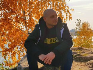 Статистика Дзен Дом без забот