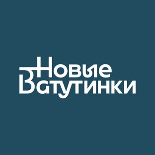 Статистика Дзен Район Новые Ватутинки