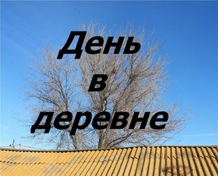 Статистика Дзен День в деревне
