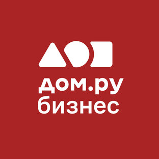Статистика Дзен Дом.ру Бизнес