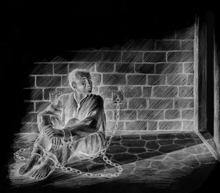 Дзен Cantec статистика