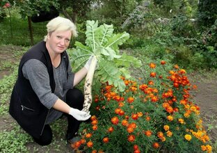 Svetlana 1. Огород у Светланы. Огород Светланы Юркиной.. В гостях в саду у Светланы.