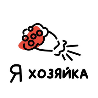 Статистика Дзен Я хозяйка