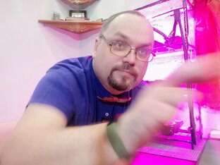 Статистика Дзен Новые Буреги
