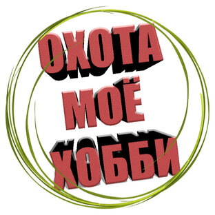 Статистика Дзен ОХОТА МОЁ ХОББИ
