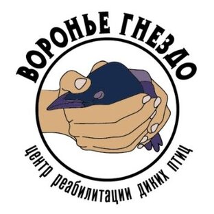 Статистика Дзен Центр помощи диким птицам «Воронье гнездо»‎ 
