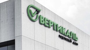 Статистика Дзен Торговый Дом "Вертикаль"