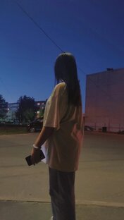 Дзен Что-то об истории статистика