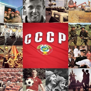 Дзен Фазид Амиров статистика
