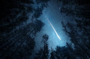 Дзен StoryТell статистика