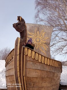 Статистика Дзен Ноев Ковчег