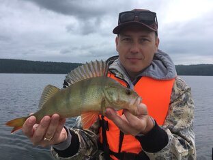 Статистика Дзен РыбачОк38