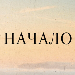 Статистика Дзен Начало