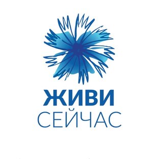 Статистика Дзен Благотворительность изнутри. Работа в фонде и не только