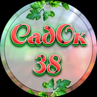Статистика Дзен Евгений Садовников