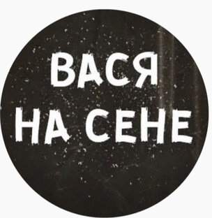 Логотип канала Вася на сене