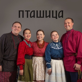 Статистика Дзен ПТАШИЦА