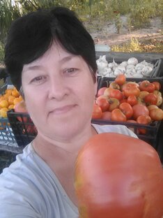 Статистика Дзен ирина семячкова