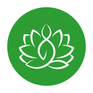 Дзен YogaTrener -Йога, йогатерапия. ЛФК, реабилитация статистика