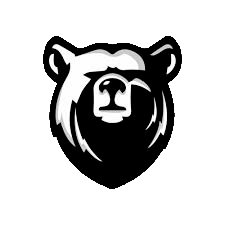 Дзен RedMedved статистика