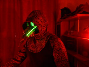 Статистика Дзен dexxtronic