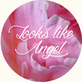 Статистика Дзен Looks like Angel
