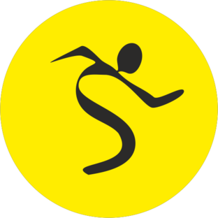 Статистика Дзен ONESS SPORT