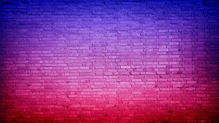 Дзен Топ рецепт статистика