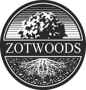 Статистика Дзен Zotwoods.ru