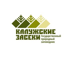 Статистика Дзен Государственный природный заповедник "Калужские засеки"