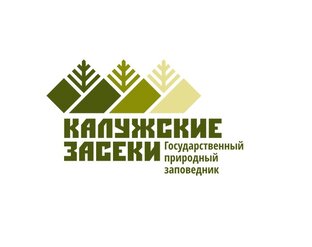 Заповедник калужские засеки презентация