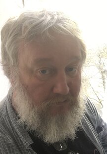 Статистика Дзен Прогнозы Грибов от Федотова