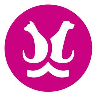 Статистика Дзен Аллер Петфуд