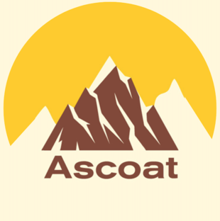 Статистика Дзен Ascoat - профессиональные краски