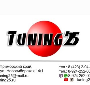 Статистика Дзен Tuning25ru