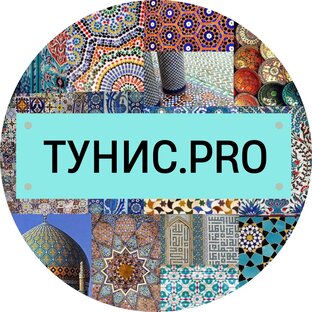 Статистика Дзен ТУНИС.PRO