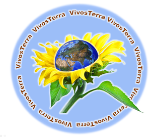 Статистика Дзен Vivos Terra