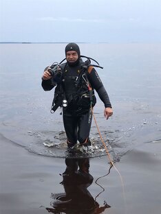 Статистика Дзен Подводная Диагностика. РФ