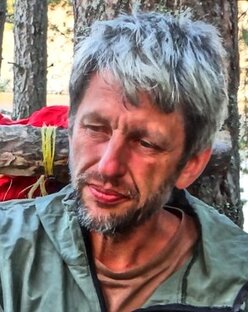Статистика Дзен В. Амп