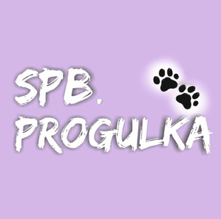 Дзен Spbprogulka статистика