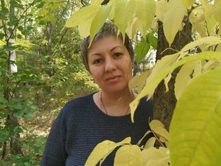 Статистика Дзен Юлия Юрьева