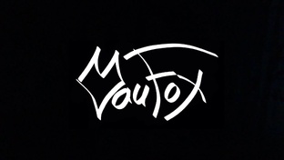 Дзен VauFox статистика